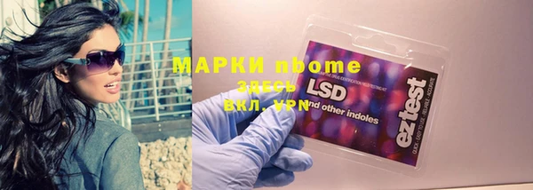 гашик Нея