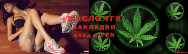 гашик Нея