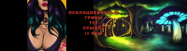 дживик Навашино