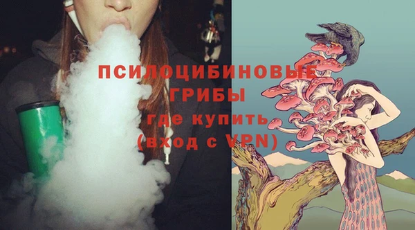 гашик Нея