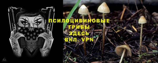 МДПВ Верхний Тагил